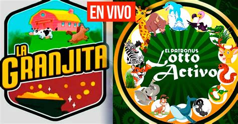 Resultados Lotto Activo y La Granjita: mira los datos explosivos de HOY .